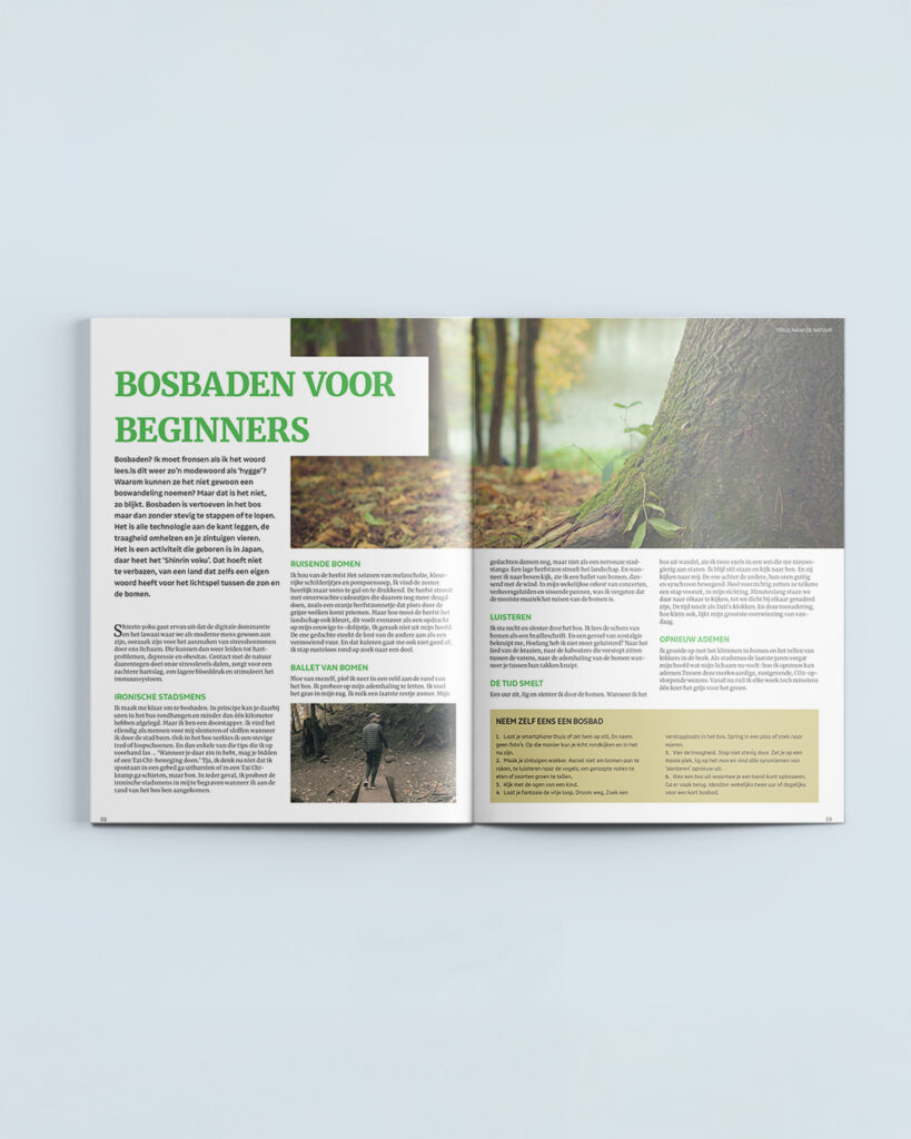 Open magazine spread from high school final project showing article layout and typography
