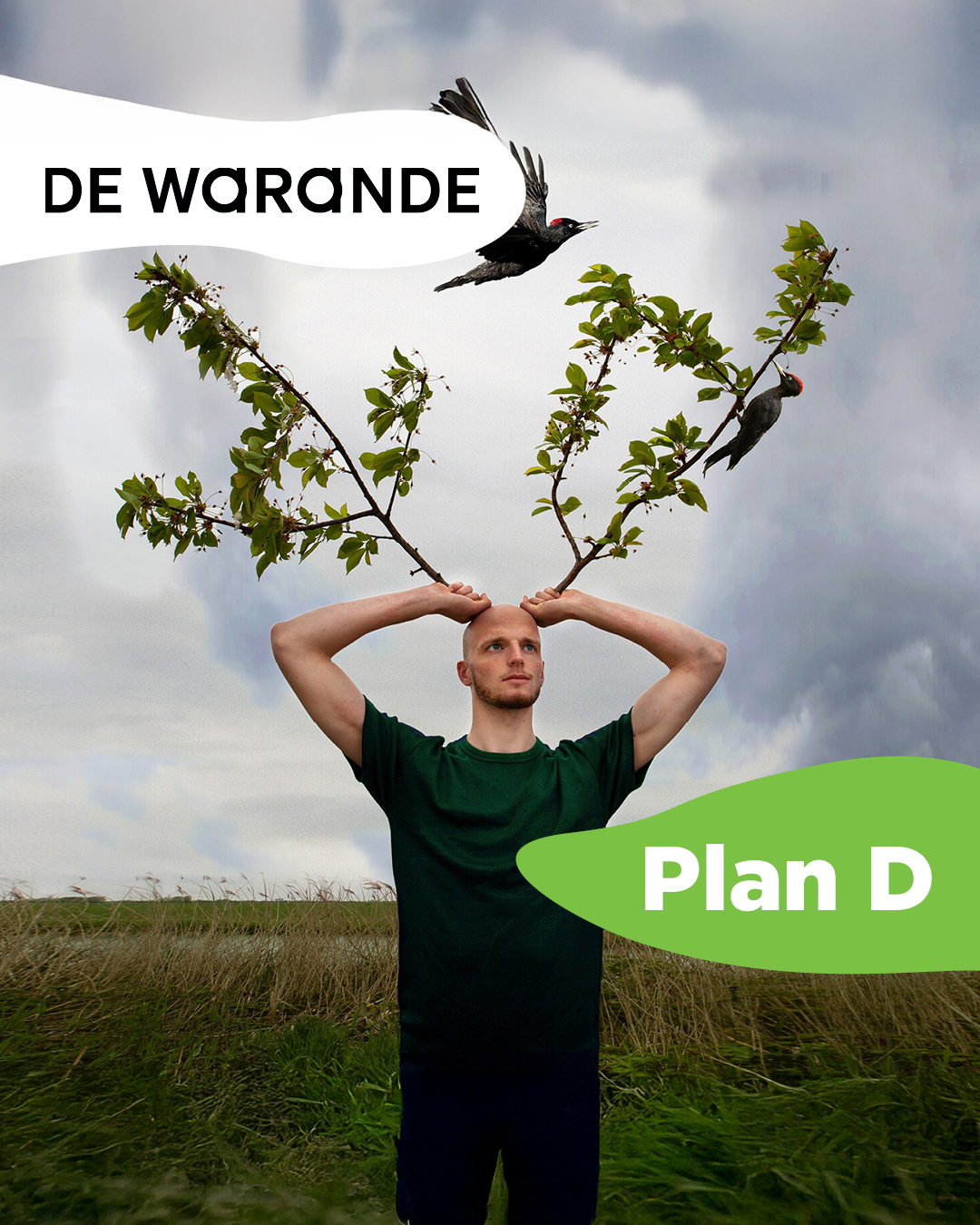 Instagram post mock-up for De Warande showing Plan D performance with a man in a field wearing two branches on his head